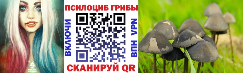 Псилоцибиновые грибы Magic Shrooms блэк спрут Краснокамск где купить наркоту
